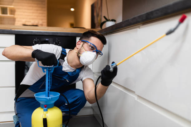 Best Commercial Pest Control Services  in Jackson, AL