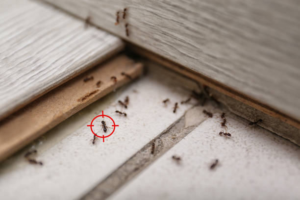 Jackson, AL Pest Control Company