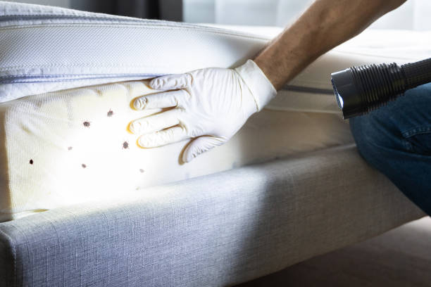 Best Pest Removal Services  in Jackson, AL