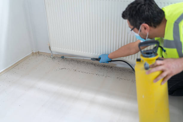Best Ant Control Services  in Jackson, AL
