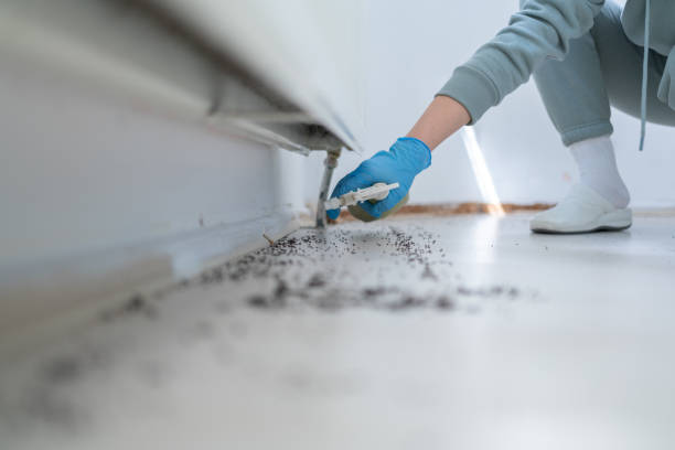 Best Emergency Pest Control  in Jackson, AL